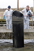 Sorubin's Microluft aerator found to be fully functional in unfiltered wastewater - patent application filed