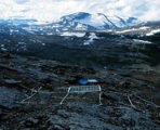 Plants Disappear As A Result Of Climate Changes
