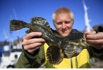 Fish Reveal Secret Of Climate Change Through Their Stomachs