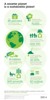 IBM, Recology Partner to Help San Francisco Achieve Zero Waste by 2020