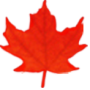 Health Canada: Take Precautions Using Reusable Grocery Bags and Bins