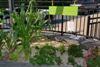 School's Gravel Garden Teaches Sustainable Gardening Practices