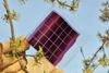New Project to Enhance Efficiency of Organic Solar Cells