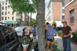 Trees New York's Internship Program Equips Students for Green Jobs