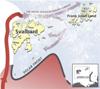Collaborative Research on Warming Up of Barents Sea