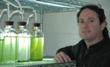 Oil-Laden Alga Can Serve as Alternative Fuel Source