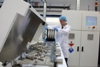 New Atomic Layer Deposition Passivation Technology for i-PERC Silicon Solar Cells
