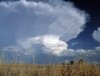 Southward Expansion of Subtropical Dry-Zone Linked to Decline in Rainfall