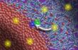 Study Findings Provide Insights into Inner Workings of Organic Solar Cells