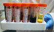 New Microbe Production Technique to Convert Bio-Oil Fractions into Next-Generation Biofuels