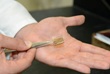 Researchers Create Functional Solar Cell Made Entirely of Carbon