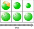 Airborne Particles Become a Protective Vessel for Transport of Pollutants