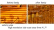 Scientists Study Hurricane Sandy’s Effects to Better Predict Environmental Impact of Future Storms