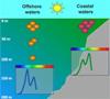 Chameleon-Like Light Harvesting Process in Phytoplanktons Linked to Climate Change