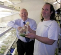 Cyanobacteria Produce Cellulose and Sugars for Conversion to Ethanol and Other Biofuels
