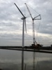 Major Lamb Producer Unveils Onsite Large-Scale Wind Turbine