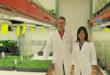 New Enzyme Shows Promise to Engineer Plants for Improved Biofuel Production