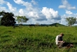 Microbial Communities Critical for the Ecosystem Suffer due to Amazon Deforestation