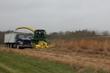 Marginal Lands Represent a Huge Untapped Resource for Biofuel Production