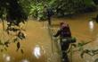 NSF Funds Project for Conserving Central African Biodiversity under Climate Change