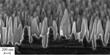 Black Silicon Increases Efficiency of Solar Cells
