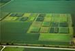 Perennial Biofuel Crops Reduce Escape of Nitrogen into the Environment