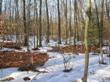 Climate Change Effect Due to More Carbon Release by Warmer Soil Temperatures Diminishes Over Time