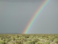 Richer Plant Diversity Significantly Enhances an Ecosystem's Productivity