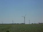 New Research Suggests Power Capacity of Large-Scale Wind Farms Overestimated