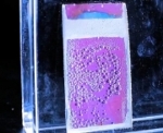 Novel Integrated System Harvests Sunlight to Make Storable Fuel