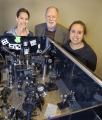 Understanding the Energy-Transfer System in Photosynthesis
