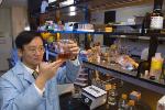 New Technique to Produce Renewable Energy