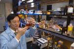 Inexpensive, Environmentally Friendly Process to Extract Hydrogen from Plants