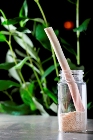 BioEnergy Science Center Receives Continued Support from the Department of Energy