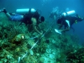 Storms Threaten Survival of Coral Reef