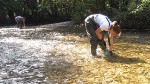 Constant Flow Rate for Exploited Rivers May Have a Negative Impact on Biodiversity of Fluvial Ecosystems