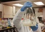 More Efficient, Less Expensive Biofuel by Changing the Way Plants Form Cellulose