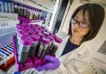 Enzyme-Free Ionic Liquid Pre-Treatment Increases Production of Advanced Biofuels