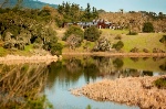 Interdisciplinary Studies at Jasper Ridge Biological Preserve May Help Conserve the Planet