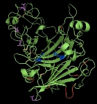 Promising Technique Improves Production of Biofuels from Lignocellulosic Biomass