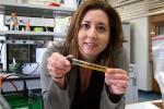 DOE Early Career Award to Fund UCSB Research on Biomass-Derived Fuels