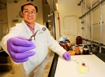 ORNL’s New All-Solid Lithium-Sulfur Battery Shows Promise for Improved Performance and Safety