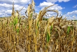Leading Climate Expert Dispels Notions Related to Climate Change