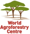 IFAD, ICRAF Launch New Program to Develop Alternative Biofuel Crops