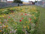 Conference at Bristol to Discuss Sustainability of Managed Landscapes