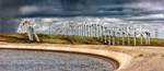 More Renewable Energy Sources Used by Americans in 2012