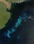 Current Climate Prediction Models May Not Capture Variability in Iron Supply to the Oceans