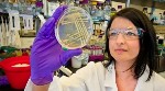 Engineered Microbes Produce High-Performance Advanced Biofuel