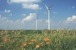 Easy Way to Offset Electricity Consumption with Renewable Energy Credits from Wind Farms