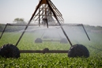 KSU Researchers to Study Effect of Climate Change on Central Great Plains Water Systems